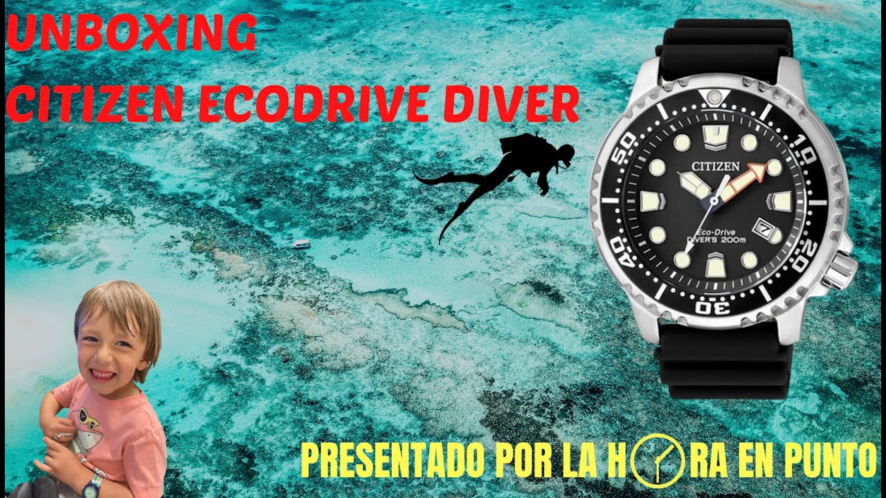 Citizen Diver EcoDrive Unboxing Reloj en Español