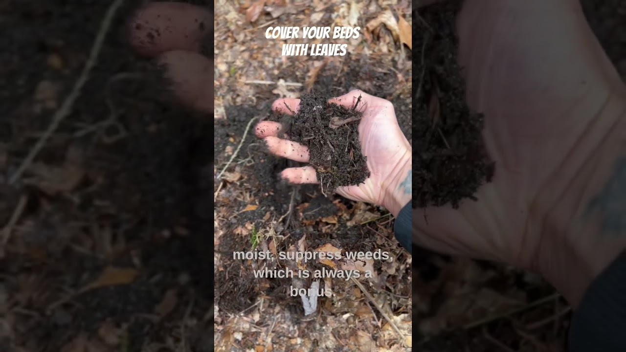 👨🏽&zwj;🌾 How to Prepare Your Spring 🌻 Garden in Winter ❄️| Part 1 of 3 🌱