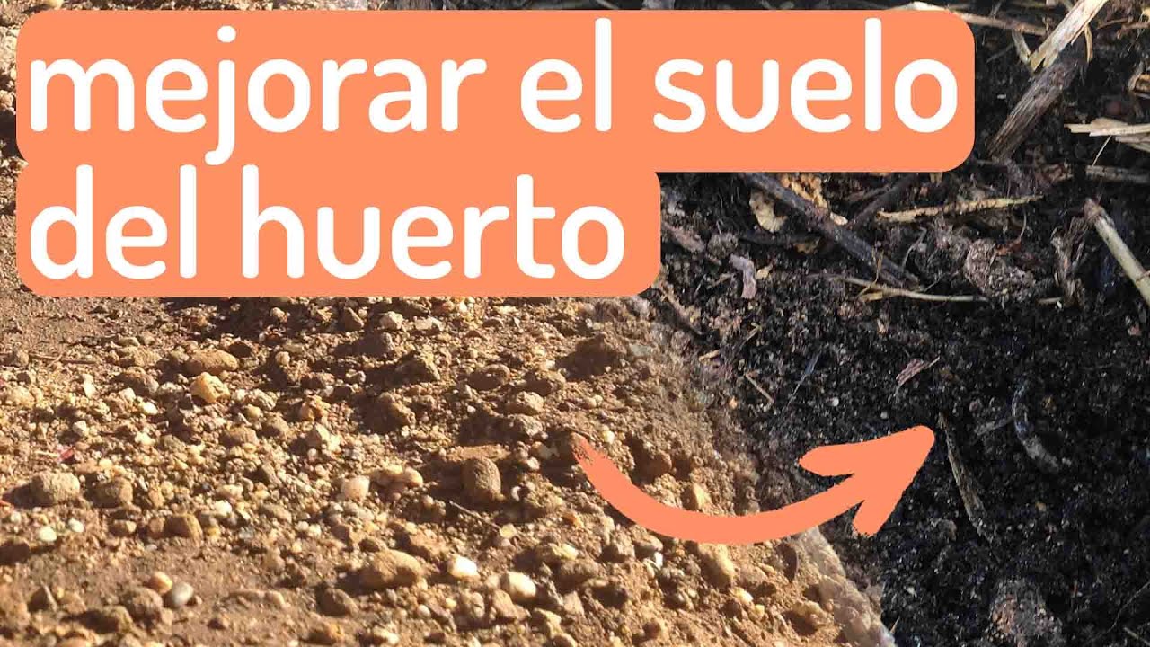 💪🏽 Mejorar el suelo del huerto  ❤︎ Permacultura