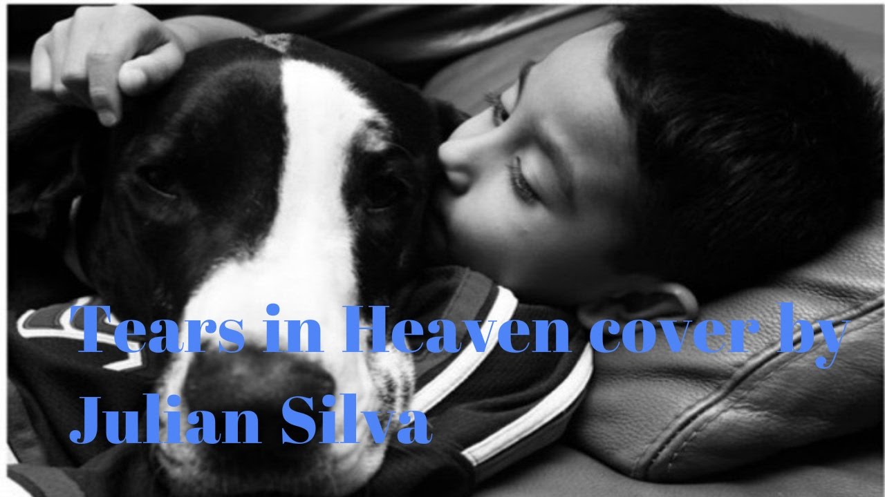 Eric Claptons' Tears in Heaven cover by Julian Silva