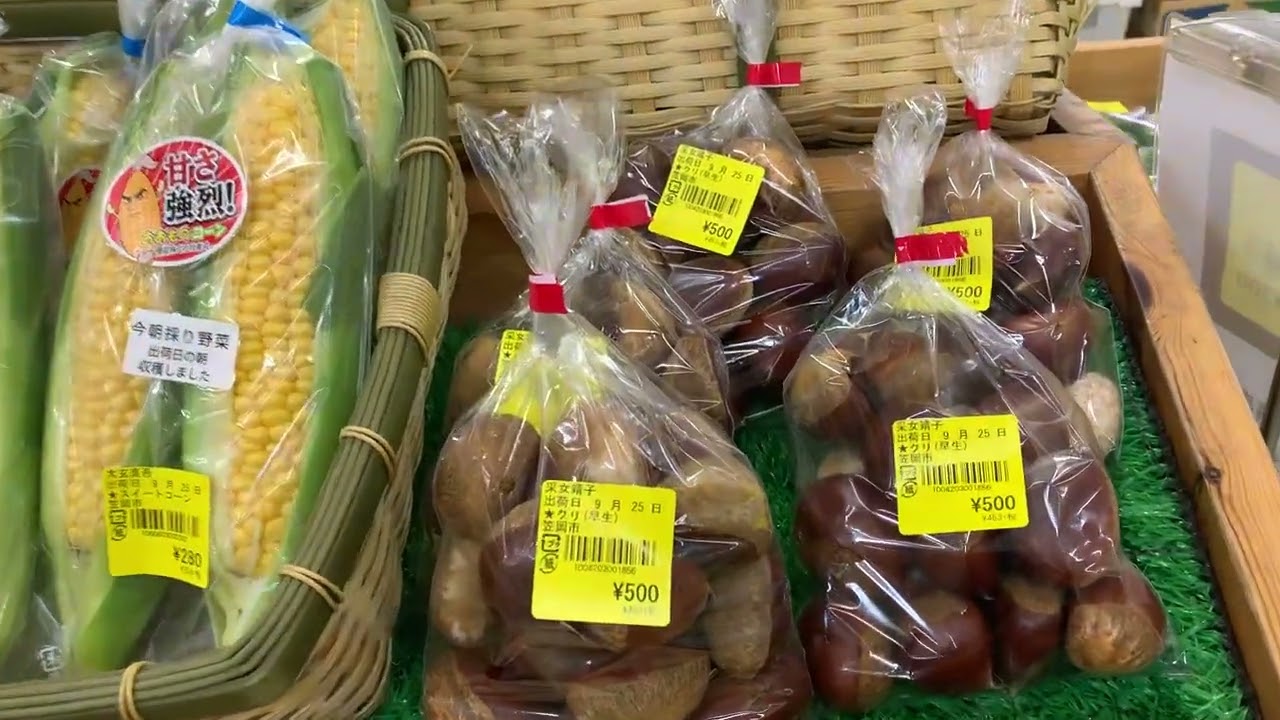 道の駅笠岡ベイファーム直売所　9／25