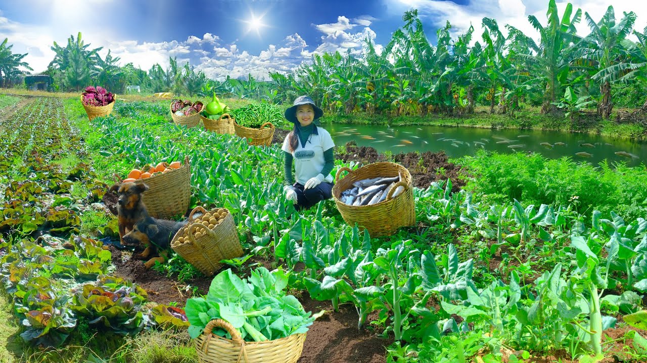 Harvest Vegetables, Fruit, Catch Fish To Sell At The Market &ndash; Cook, Garden, Raise Poultry