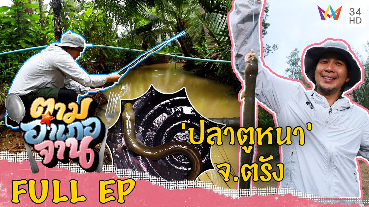 ตามหาวัตถุดิบแปลก 'ปลาตูหนา' จ.ตรัง | ตามอำเภอจาน | 1 ต.ค.65 Full EP