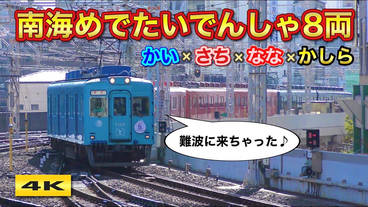 大興奮 ! 南海めでたいでんしゃ一家が なんば駅に！2022.12.24【4K】