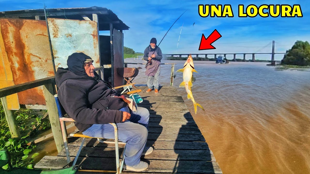 MIRA LO QUE PESCAMOS EN EL RIO PARANA GUAZU, CERCA DEL PUENTE, SALIÓ DE TODO 2024