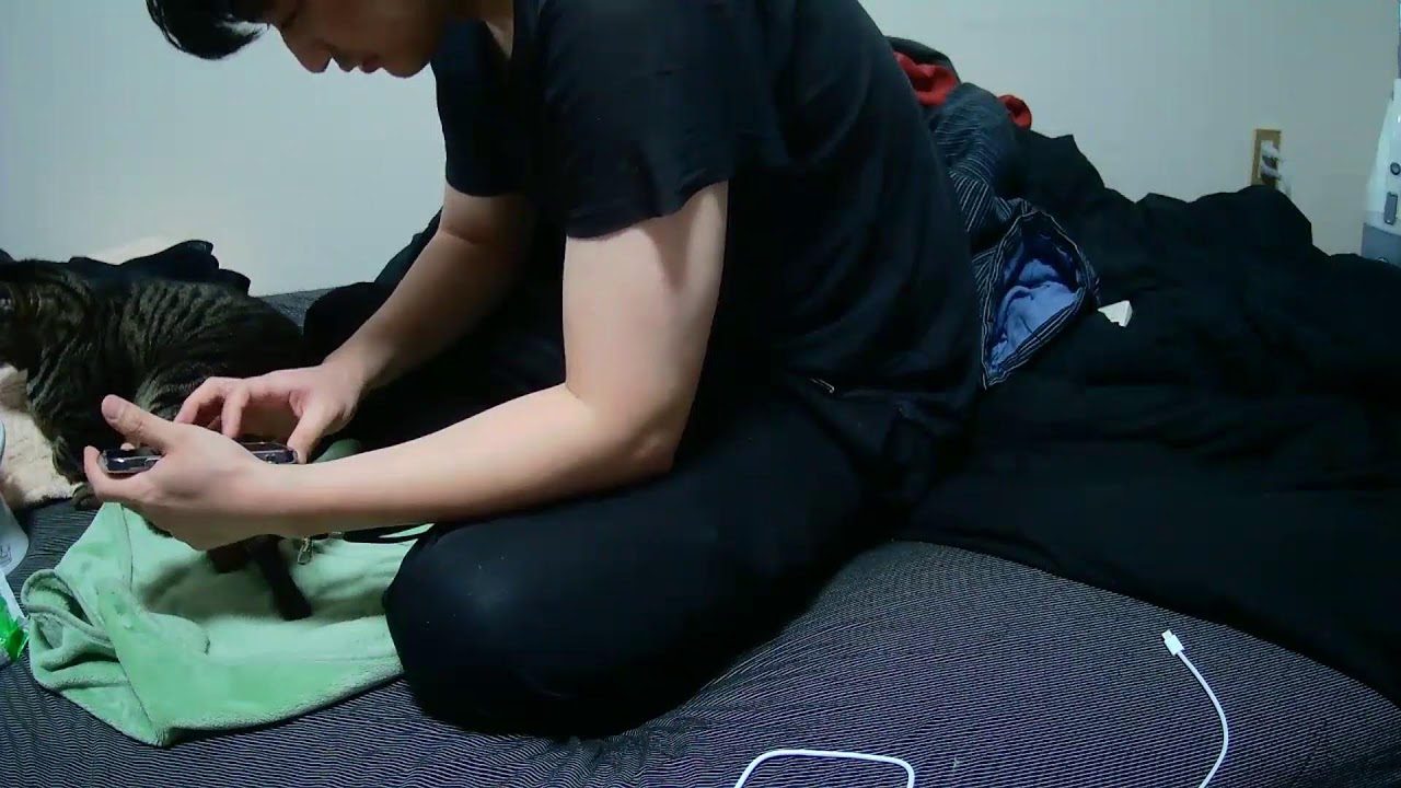 真・しま監視中
