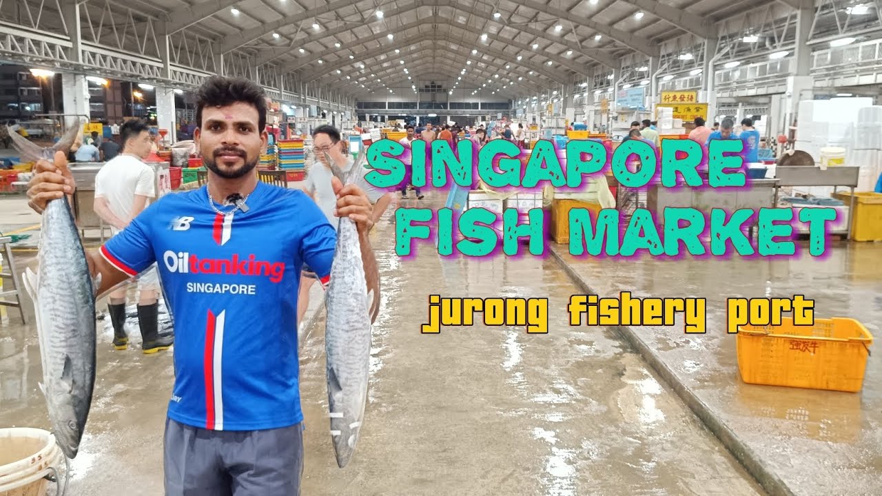 சிங்கப்பூர் மீன் மார்கெட்| Jurong fishery port Singapore| Singapore fish market