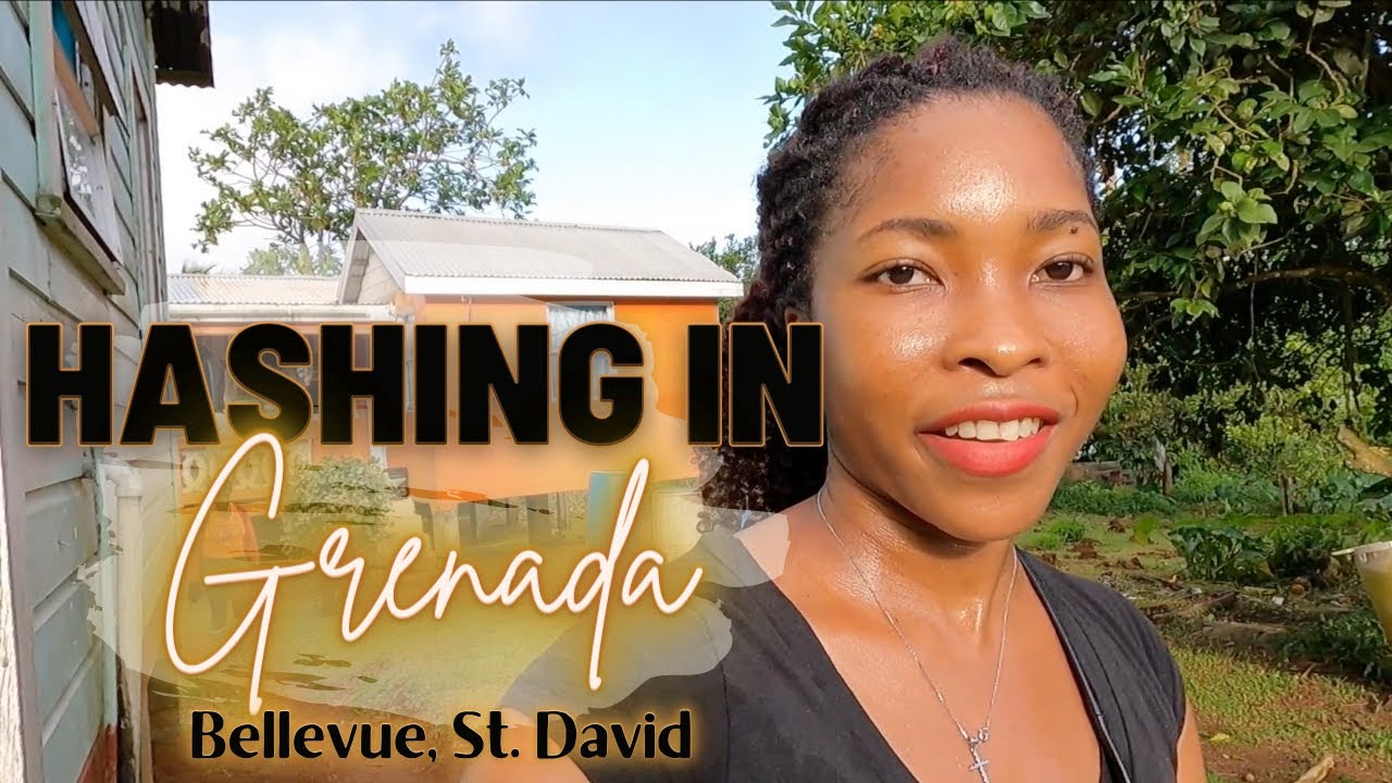 Hashing in Bellevue, St  David, Grenada! | Exploring Grenada! | A Fun & Hilly Hashing Vlog!