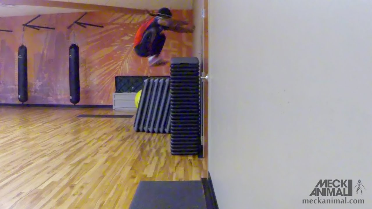 CALISTHENICS LEG STRENGTH | THE PISTOL SQUAT ADVOCATE
