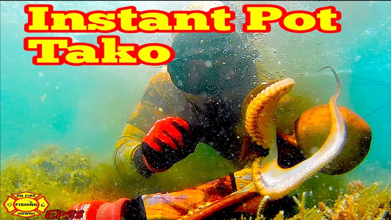 HOW TO CATCH TAKO OCTOPUS,  EASY HOW  to COOK TAKO OCTOPUS in INSTANT POT, Ep98