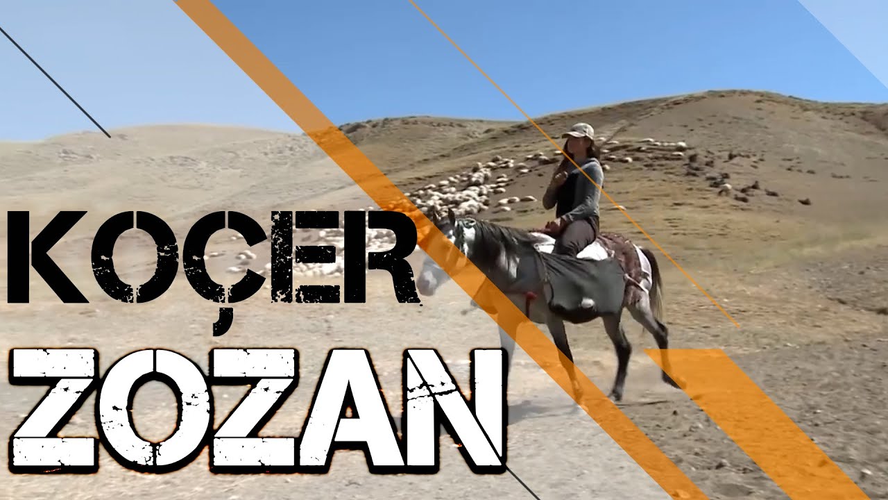 KOÇER / ZOZAN