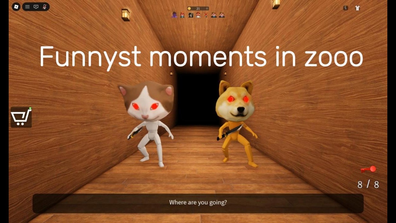 Funnyst moment in zooo