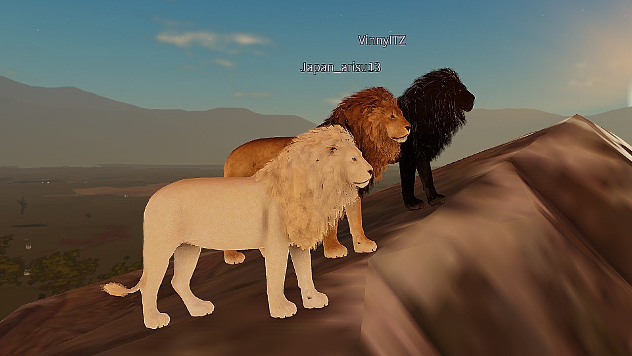 A vida de três LEÃO! De Filhote até Adulto! Savannah Life ROBLOX
