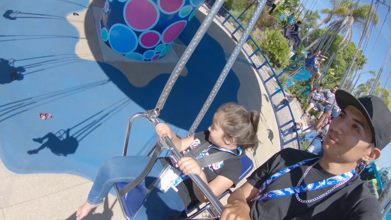 wee took the kids to sea world