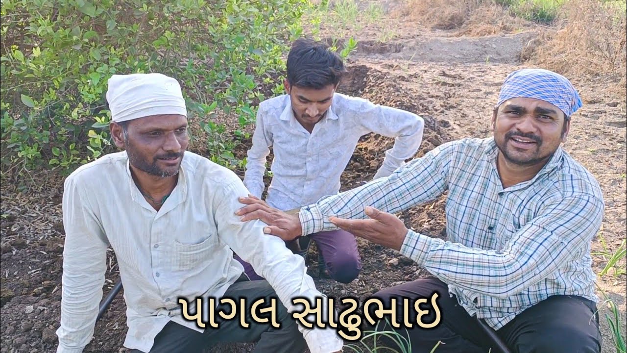 પાગલ સાઢુભાઇ//pagal sadhubhai//MISHTAR AJ VLOG 
