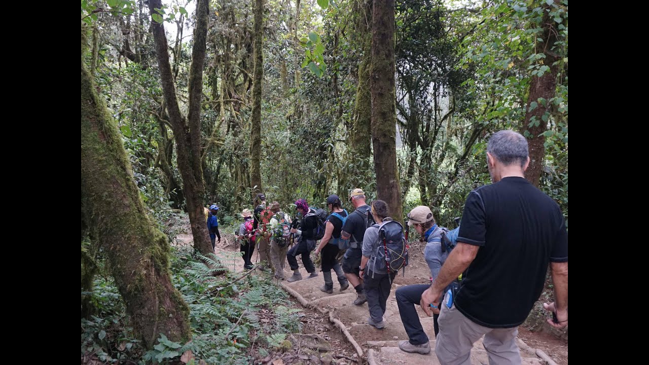 Days 7-8 Descent to Mweka Gate