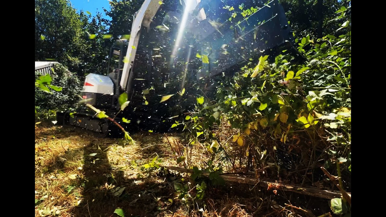 Bobcat E42 w/masticator mulching blackberries!