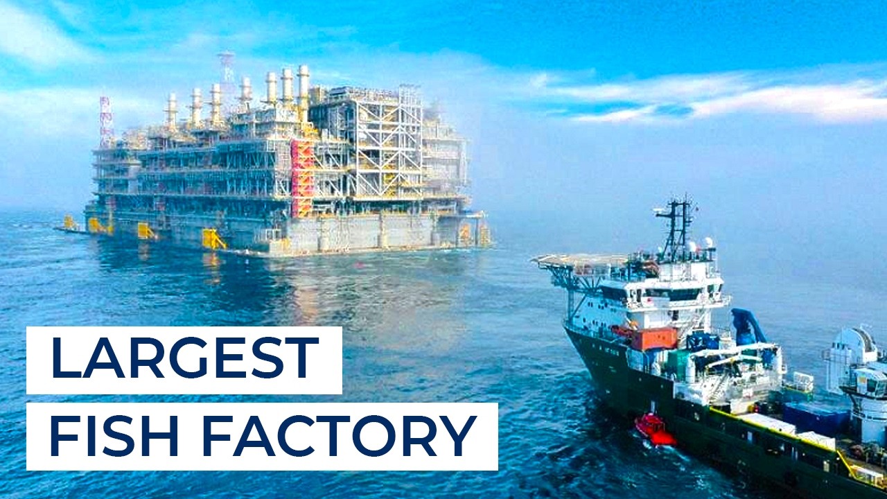 The World's LARGEST Floating Fish Factory