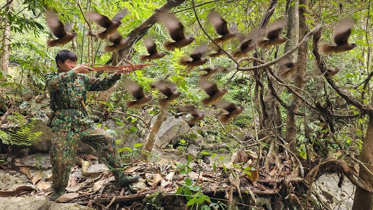 lonely life in nature, quail footprints, dramatic hunting trips, green forest life, survival skills