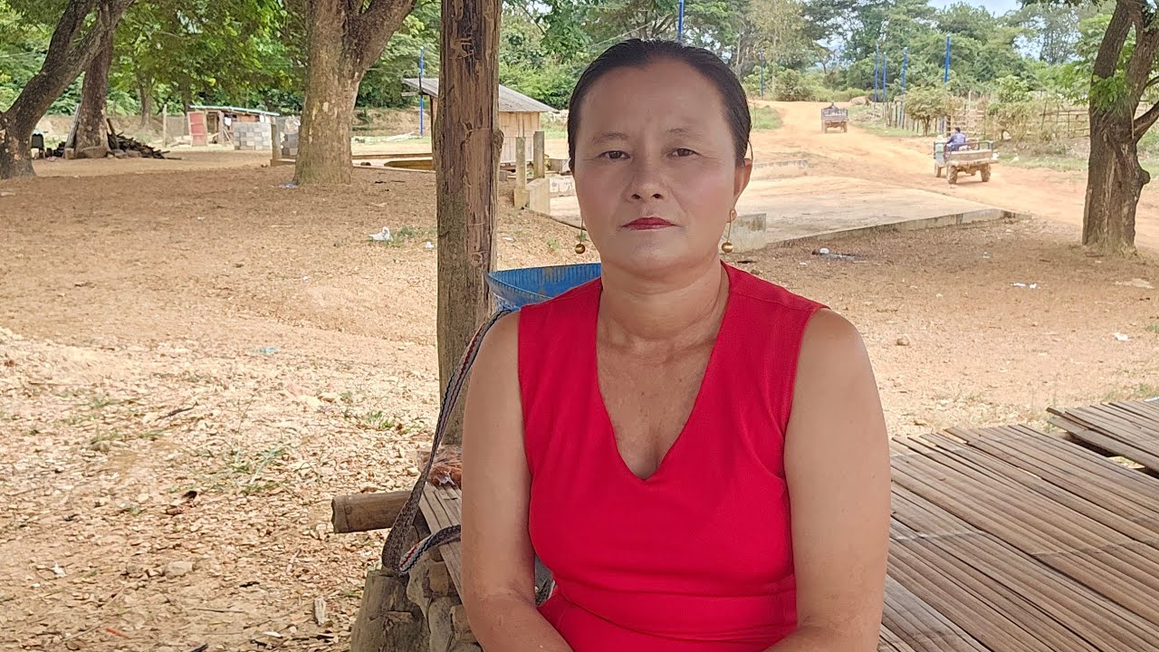 Van xain lee tu hai vwj hawj 8 11 2025