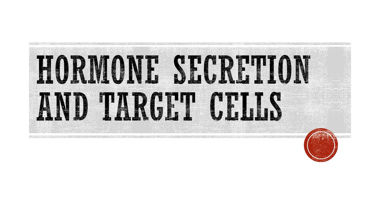 Hormone Secretion and Target Cells