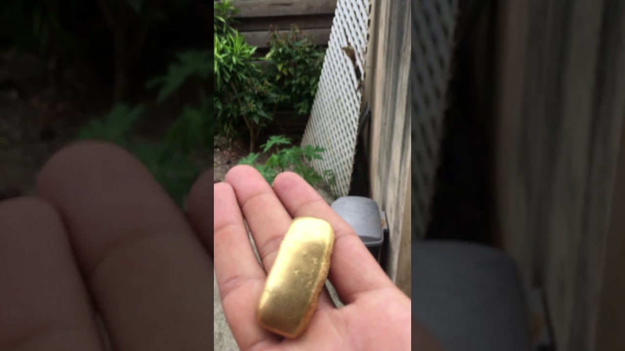 PETIT LINGOT D&rsquo;OR &Agrave; 98,2g (Vid&eacute;o amateur) #or #guyane