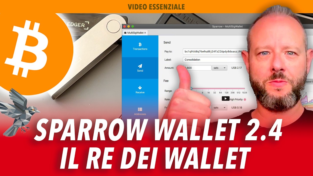 SPARROW BITCOIN WALLET 2.4: IL RE DEI BITCOIN WALLET (CHE TUTTI DOVREBBERO ADOTTARE!)