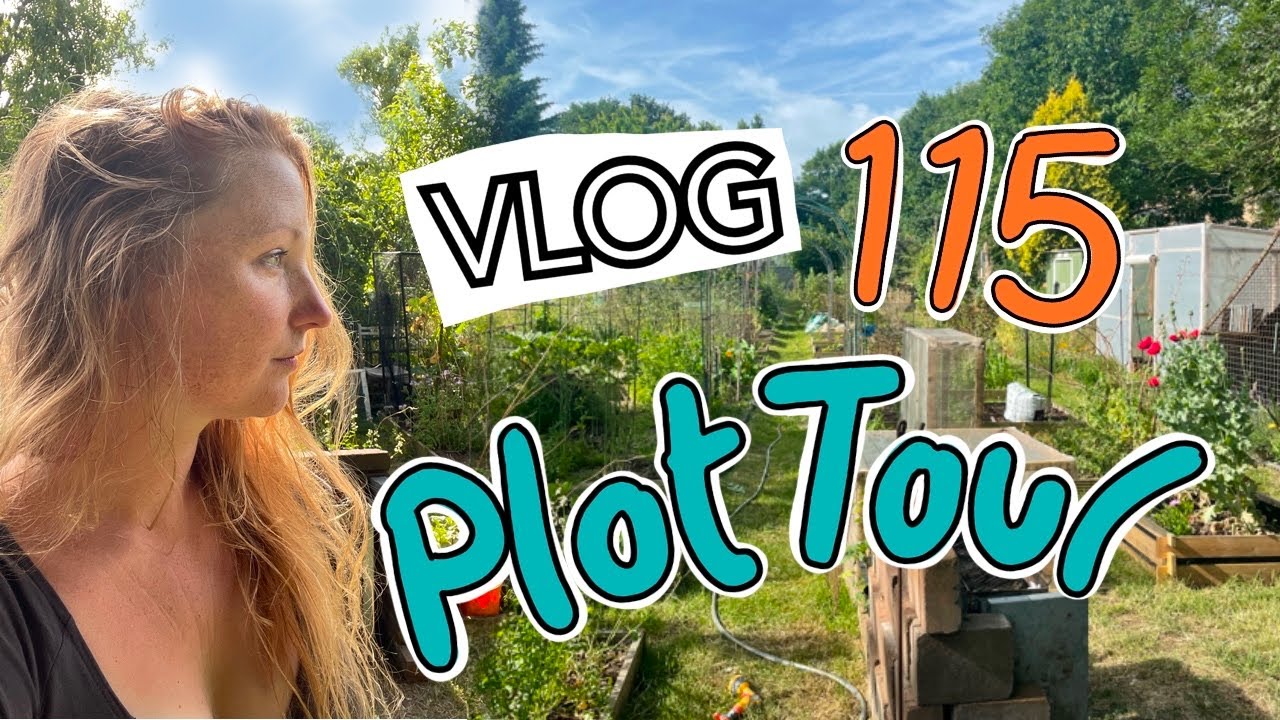 #115 Июньский ТУР ПО УЧАСТКУ! Плюс посадка перцев и кабачков || Участок 37