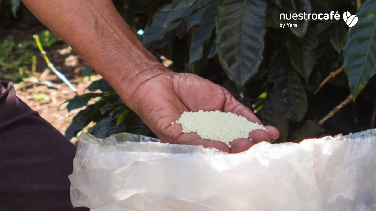 Yara Tips - YaraLiva NITRABOR