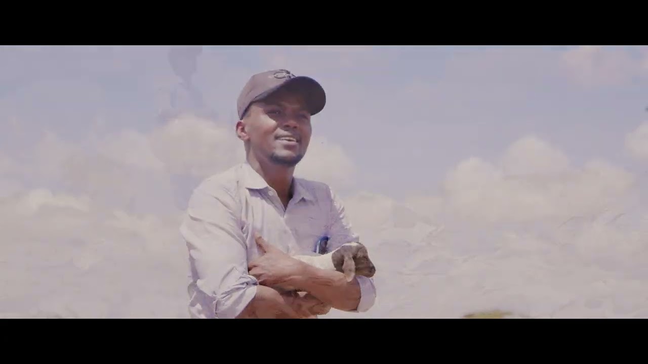 Save Borana by King Sama 2023