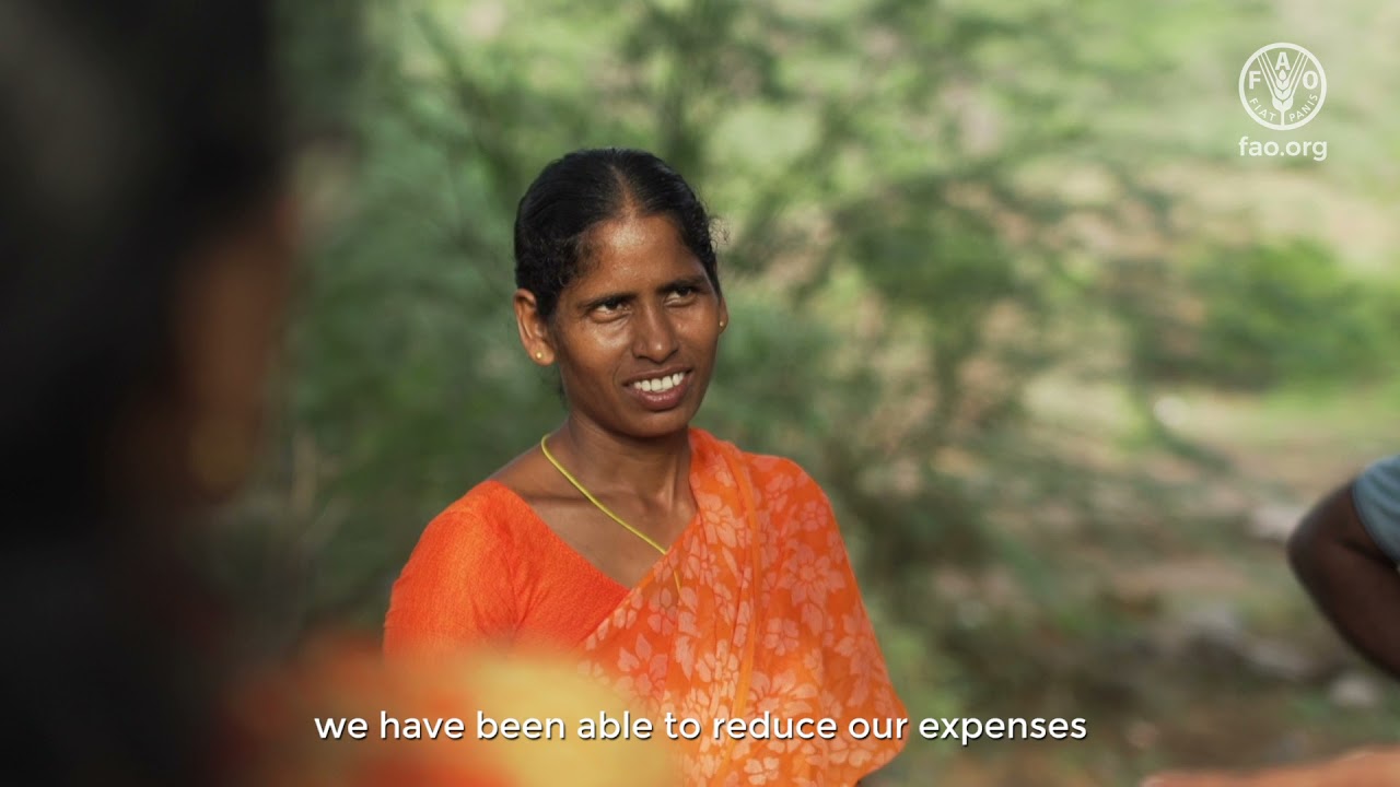 Empowering rural communities through farmer field schools and agroecology