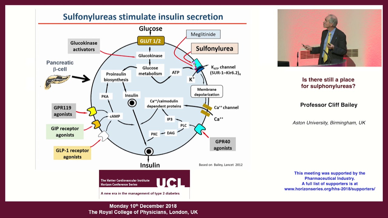 Professor Cliff Bailey - 'Is there still a place for sulphonylureas?'