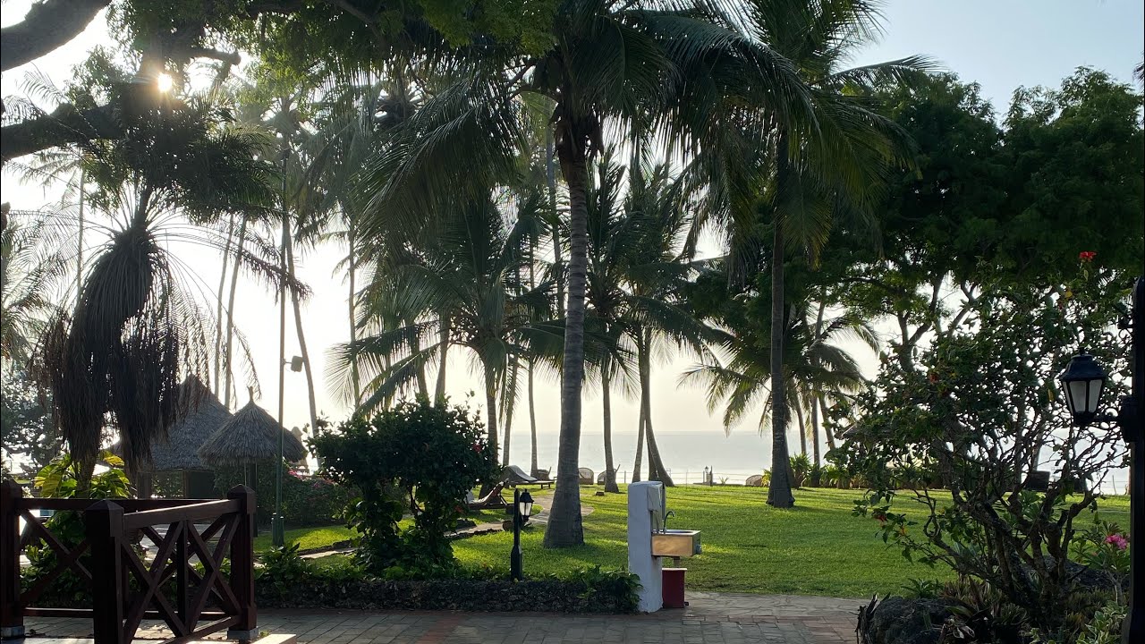Last morning in Mombasa