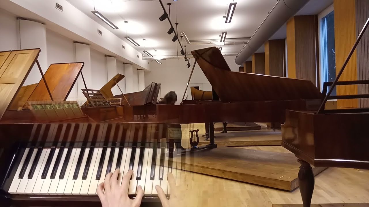 F. Schubert: Impromptu op.90 Nr.4 - Die Sammlung Beetz (Iryna Stupenko - Hammerklavier)