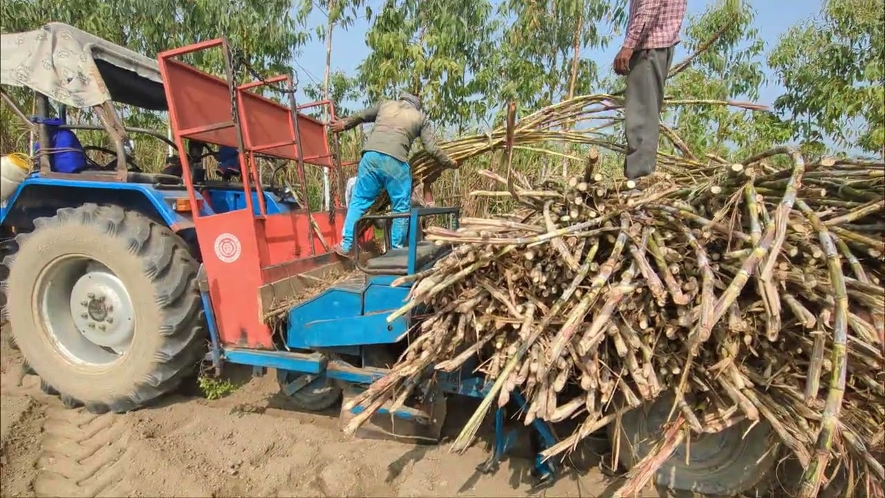 Sugarcane Ki Machine Se Bua Karwa Di 