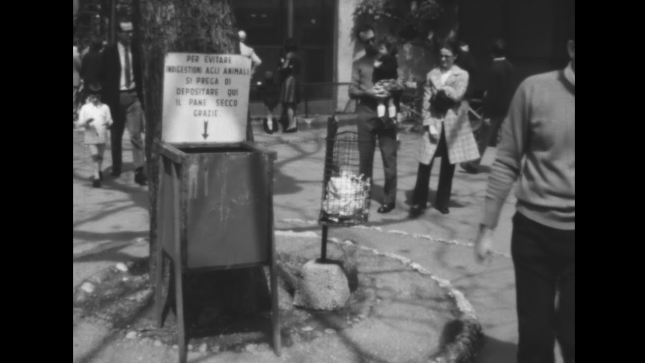 Film super 8 dello Zoo di Milano nel 1971
