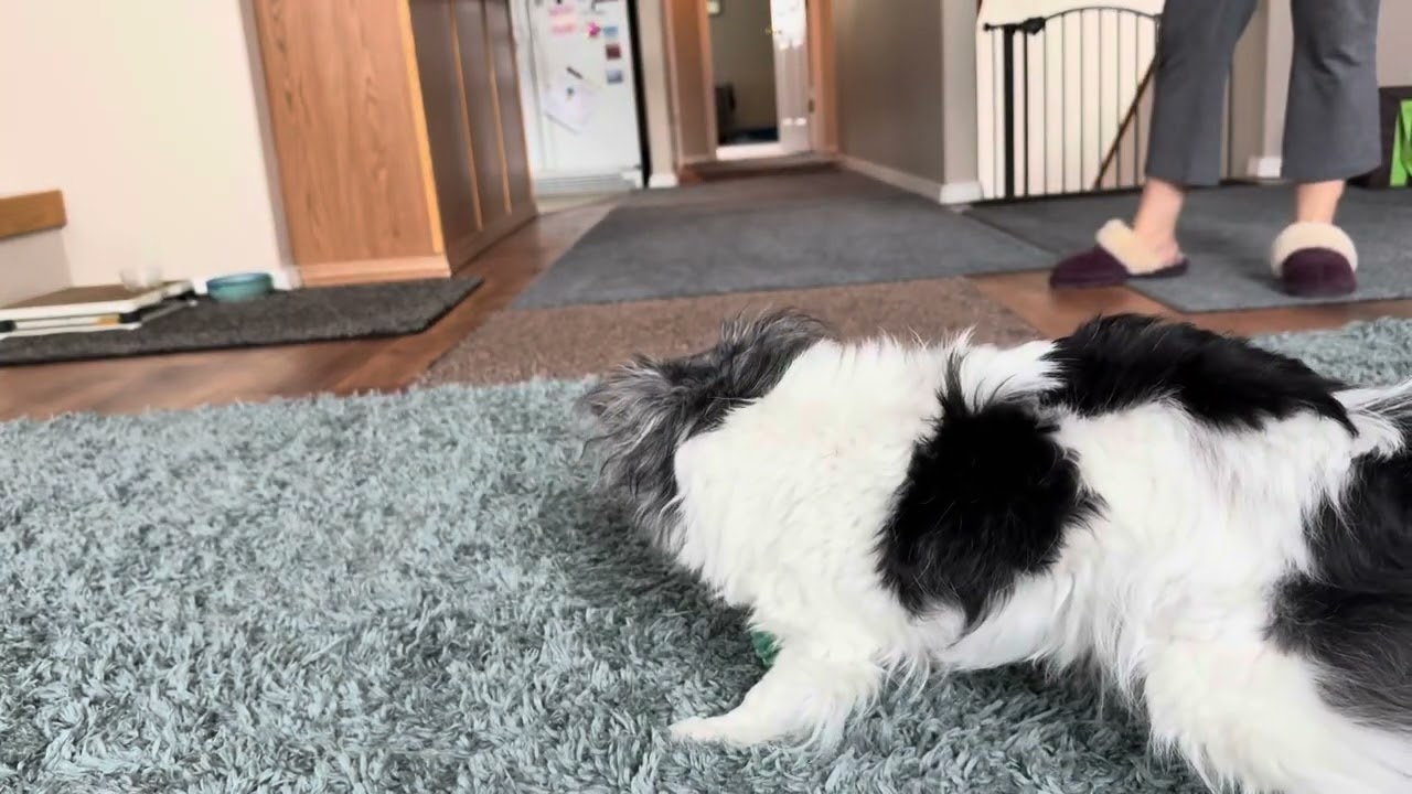 16 and still a lady killer!!