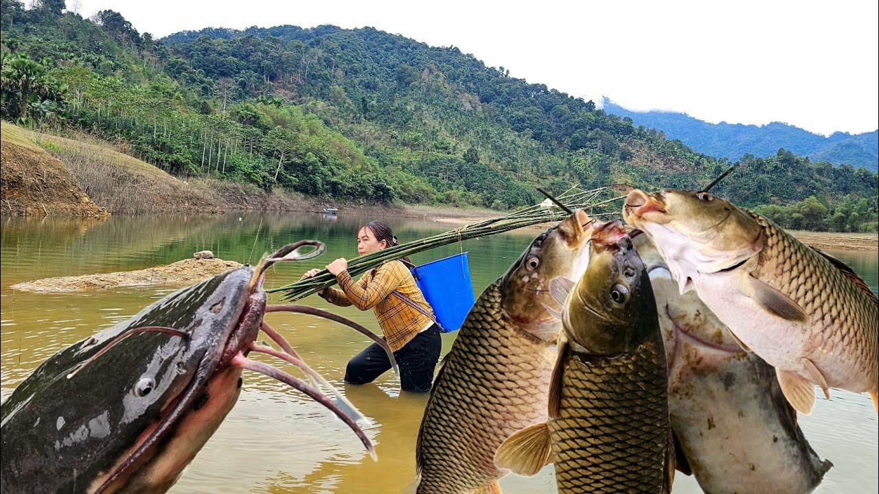 Traditional fishing techniques. The girl caught a large school of fish to sell at the market.