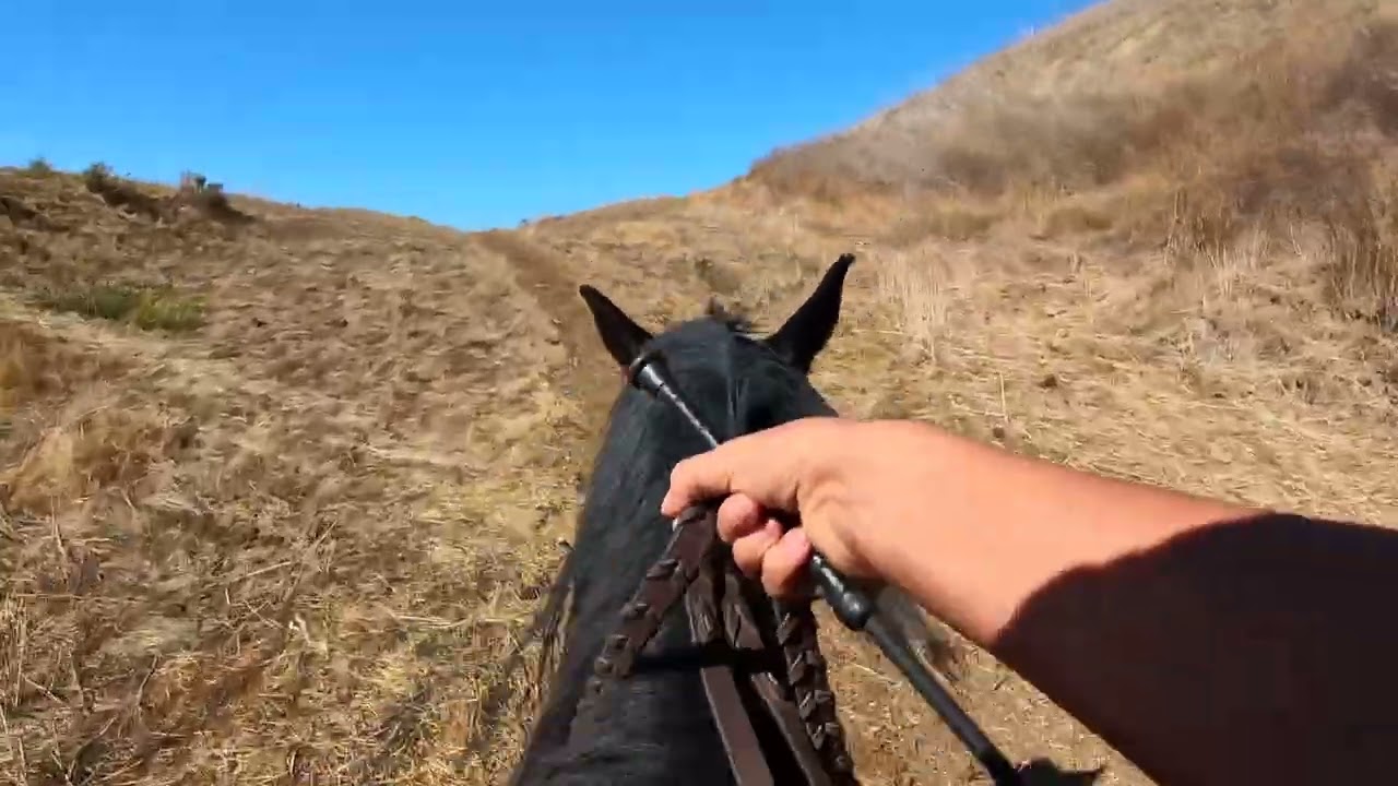 POV Trail Ride | A Calm Day Riding, Grooming & Caring for My Horse