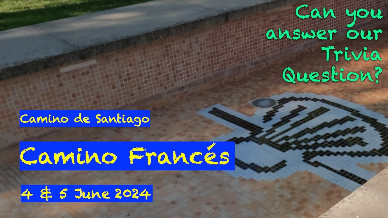 Camino Frances - 4 & 5 June 2024 - Viana to Logroño + Logroño Visit