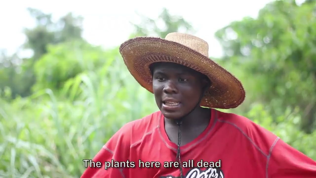 Einblicke in den weltwärts-Freiwilligendienst: Filmprojekt in der Baobab Children Foundation, Ghana