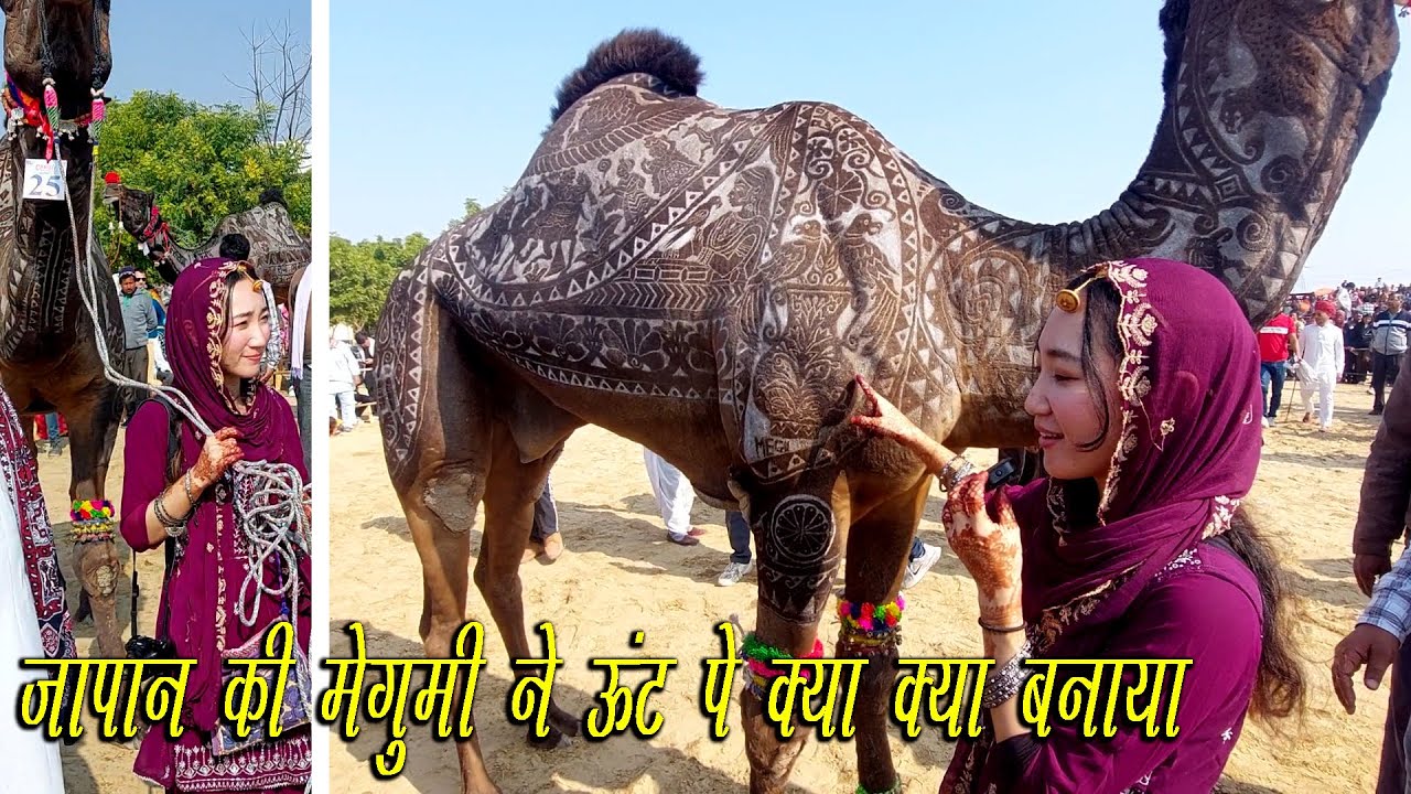 Magumi ने ऊंट फर कटिंग करके क्या क्या बनाया Camel Fur Cutting Compition बीकानेर फेस्टिवल