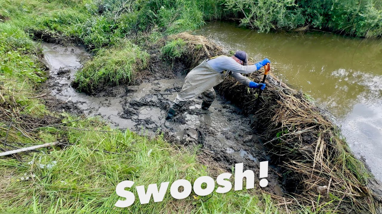 I Broke the Dam – Look What Happened!
