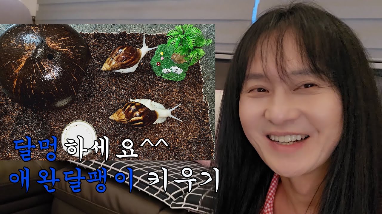 달팽이들의 새 보금자리 만들어주기^^ #vlog