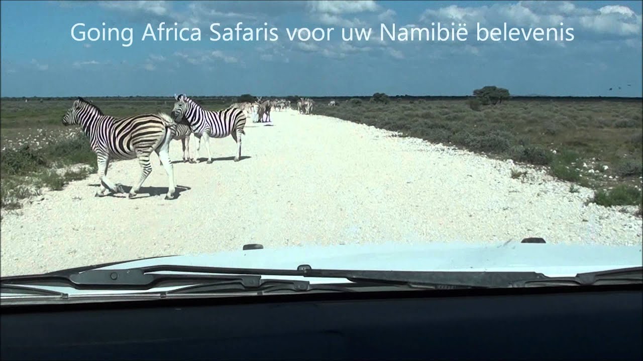 Etosha zebrapad or Etosha Zebra crossing.wmv
