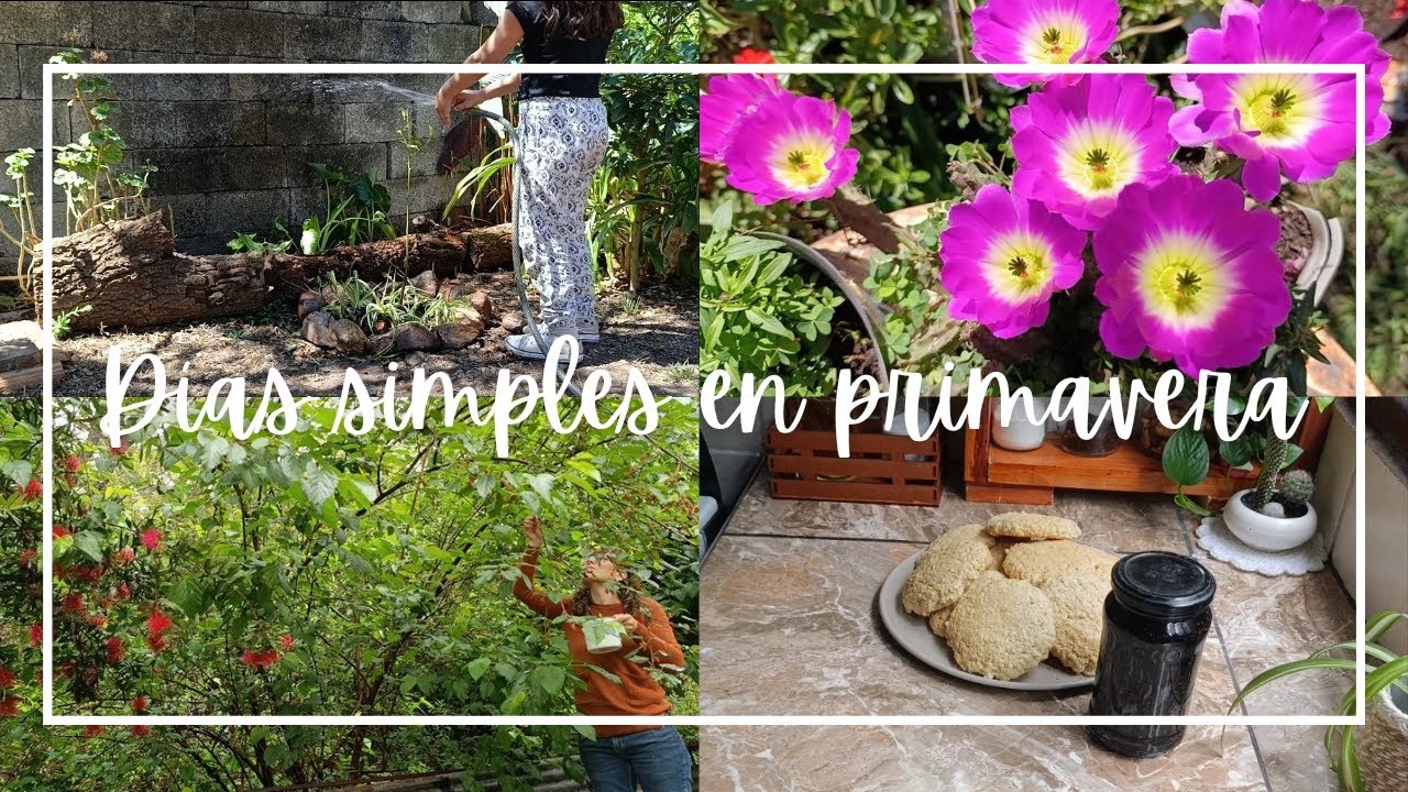 Vlog silencioso | Galletas de avena y coco, mermelada de moras| Días de lluvia. Días conmigo