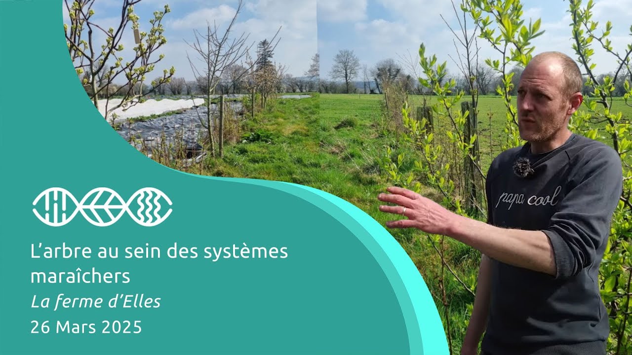 L'arbre au sein des systèmes maraîchers - La ferme d'Elles - 26 Mars 2025