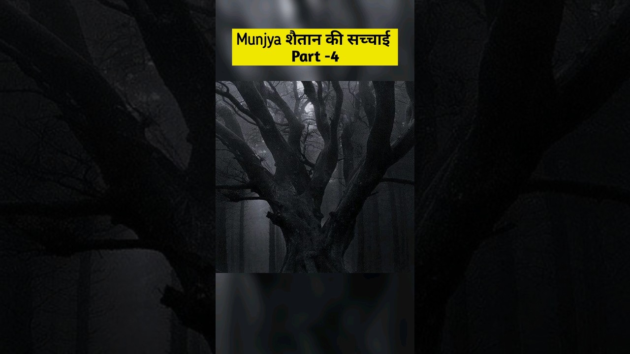 Munjya: Reality of Peepal tree ghost Part -4 | Full video is on channel @Explaire