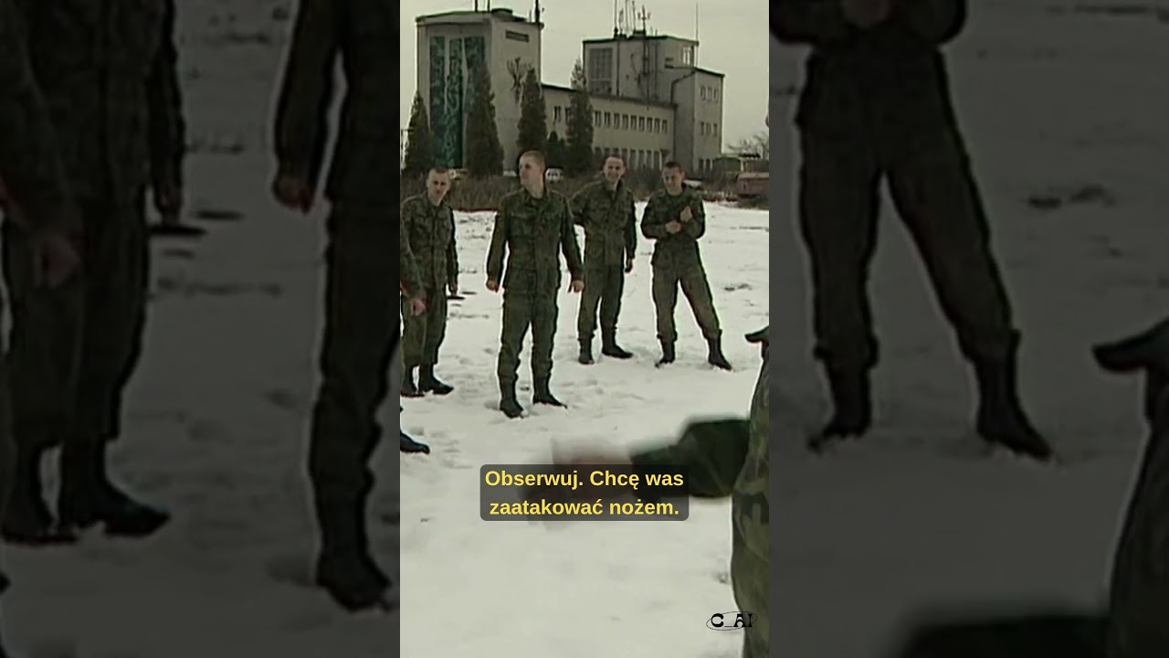 Kawaleria Powietrzna Sposoby Obrony #shorts #short #foryou #fyp #army #military #wojna #school