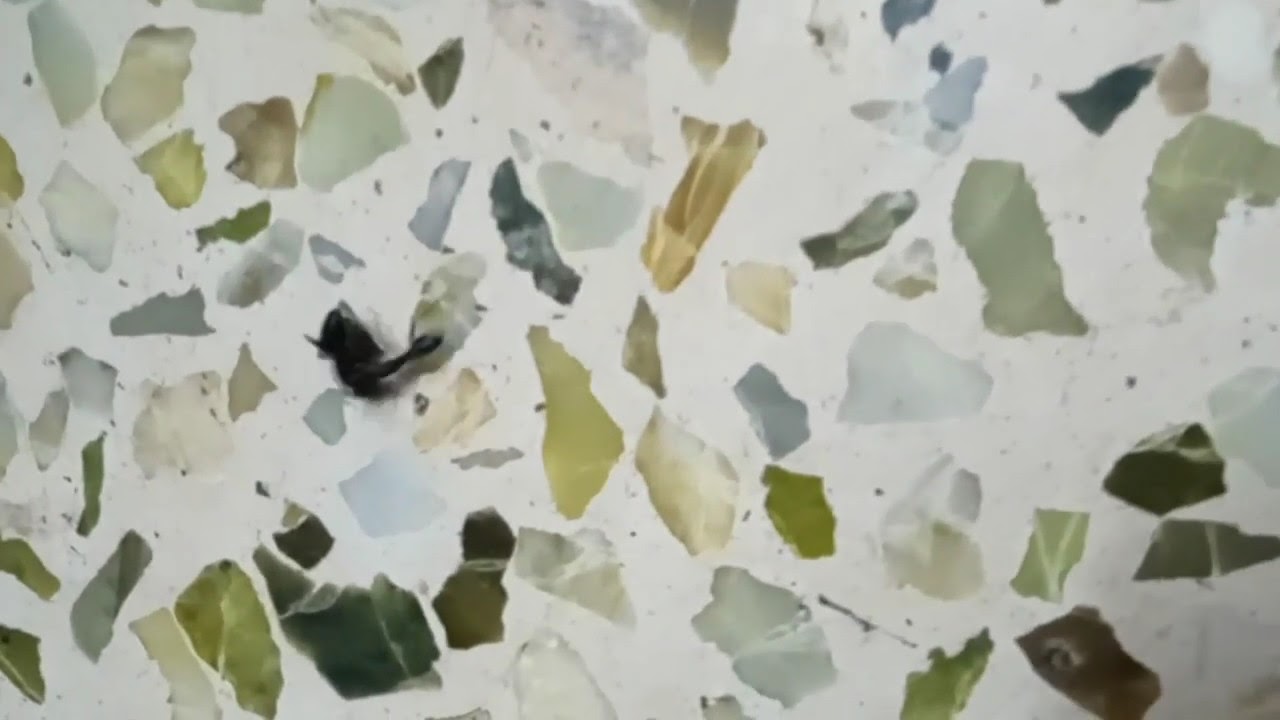 Carpenter Ant - helping injured ant